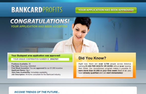 bankcard profit system screenshot 3