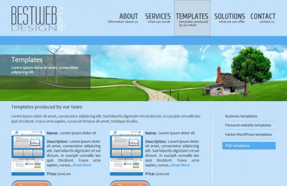 design mock up for a site-presentation of web design and web development company screenshot 1