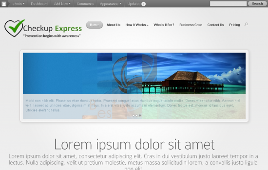 wordpress premium theme customization screenshot 1