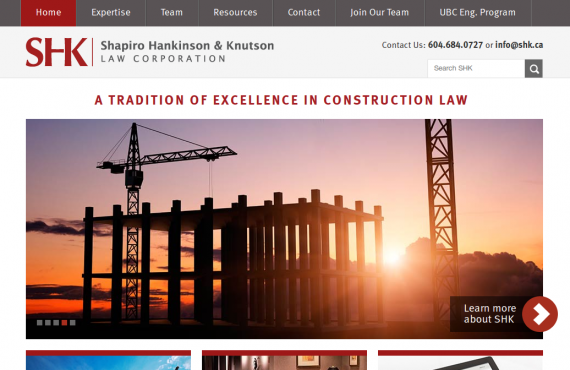 law website screenshot 1