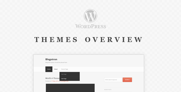 05-wp-themes-overview