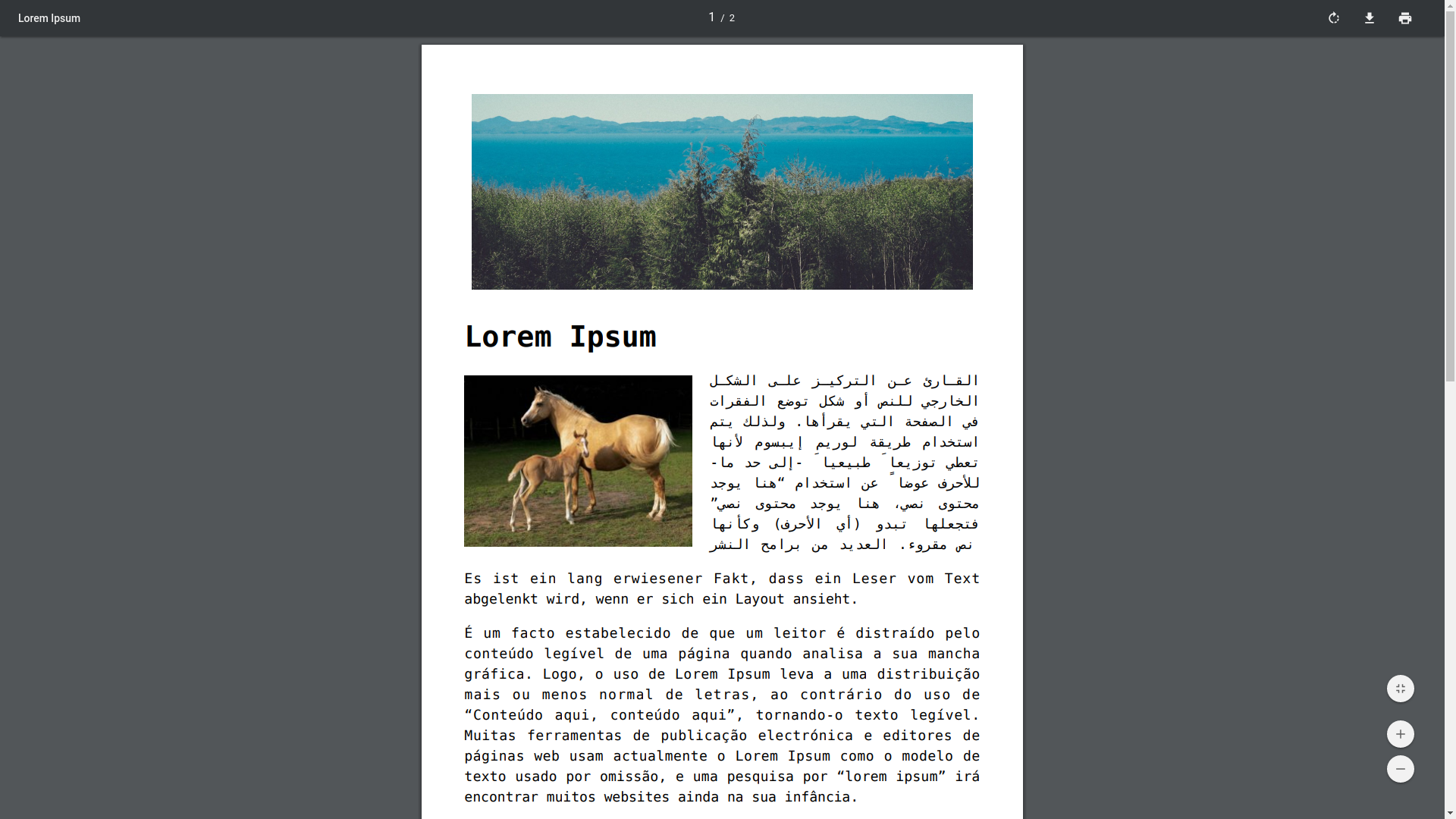 pdf & print screenshot 5