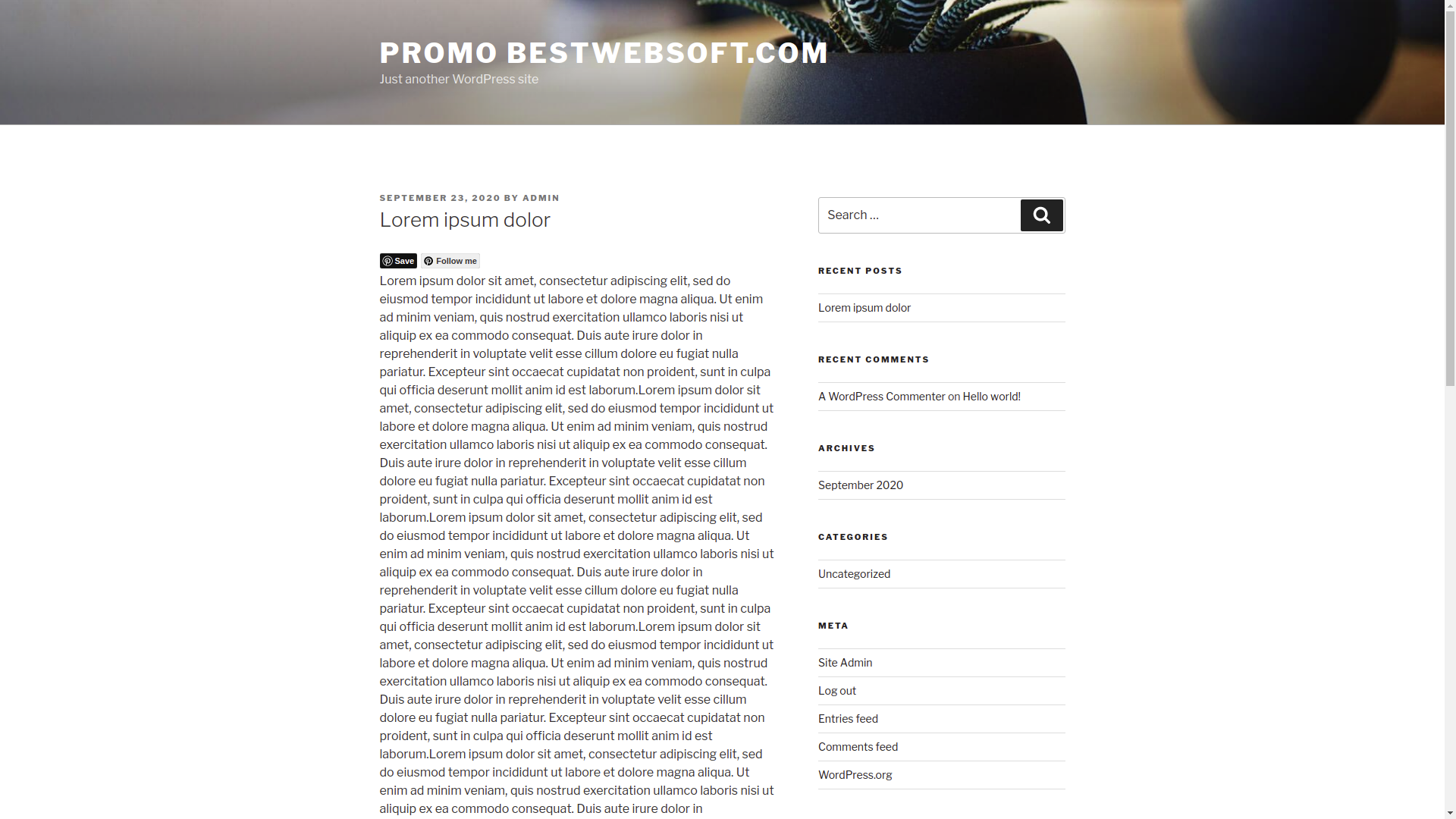 bestwebsoft’s pinterest screenshot 4