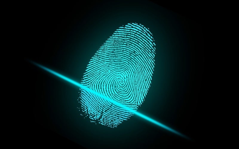 fingerprint