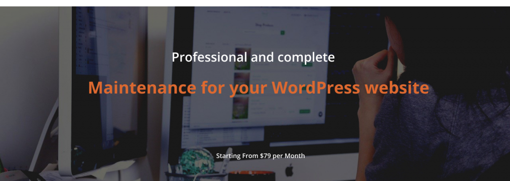 wordpress maintenance service