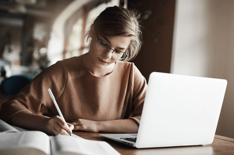 Best WordPress Themes for Essay Writers