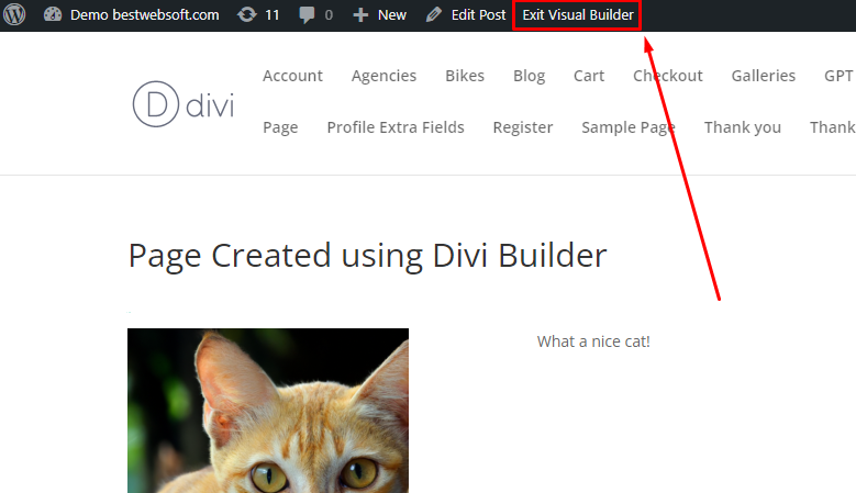 exit visual builder