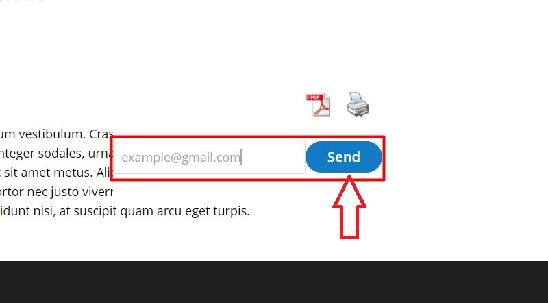 Enter the Email Address and Send pdf